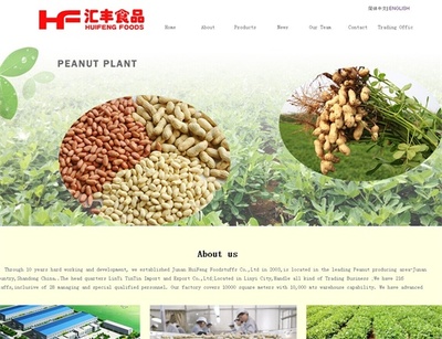 菏泽市网站建设推广|企业网站建设推广|临沂新网网络